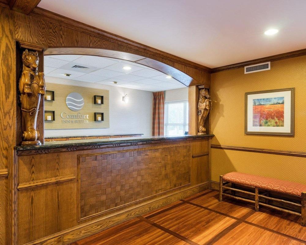 Comfort & Hotel Dover
